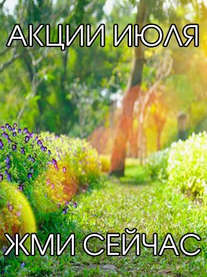 акции на товары